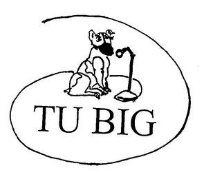 TU BIG logo