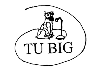 TU BIG logo