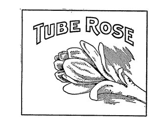 TUBE ROSE logo