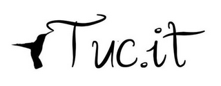 TUC IT logo