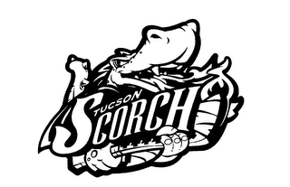 TUCSON SCORCH logo