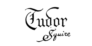 TUDOR SQUIRE logo
