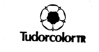TUDORCOLORTR logo