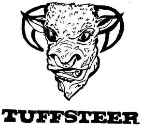 TUFFSTEER logo