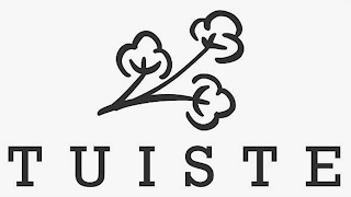 TUISTE logo