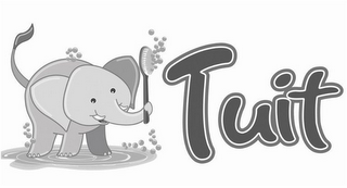 TUIT logo
