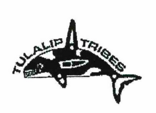 TULALIP TRIBES logo