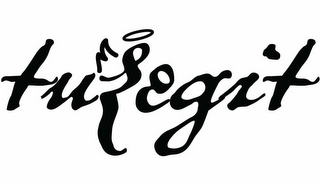 TULEGIT logo