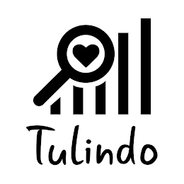 TULINDO logo