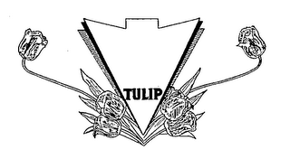 TULIP