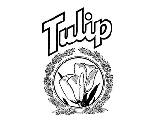 TULIP logo