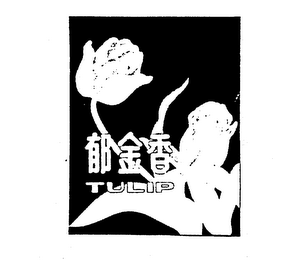 TULIP logo