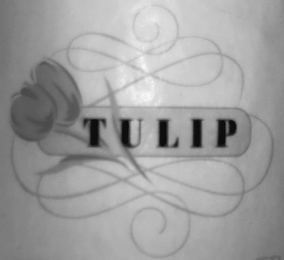 TULIP logo