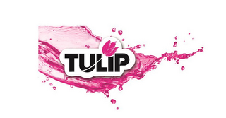 TULIP logo