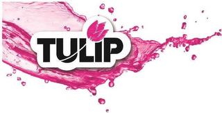 TULIP logo