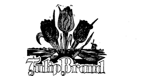 TULIP BRAND logo