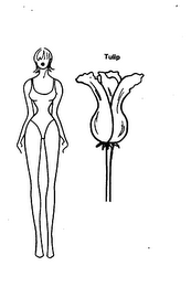 TULIP SHAPELY, HOUR GLASS FIGURE logo