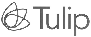 TULIP & TULIP DESIGN logo