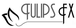 TULIPS FX logo
