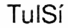 TULSÍ logo