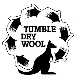 TUMBLE DRY WOOL logo