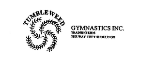 TUMBLEWEED GYMNASTICS INC. TRAINING KIDS THE WAY THEY SHOULD GO logo