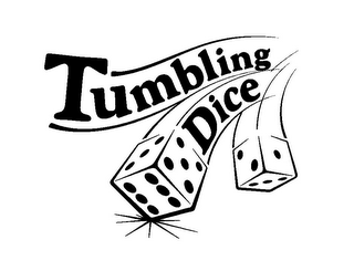 TUMBLING DICE logo