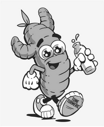 TUME TURMERIC logo
