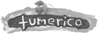 TUMERICO logo