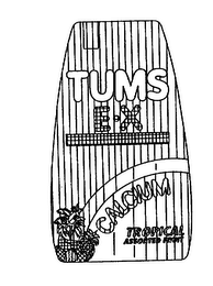 TUMS E-X CALCIUM TROPICAL ASSORTED FRUIT logo