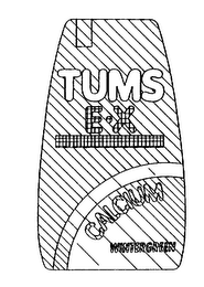 TUMS E X CALCIUM WINTERGREEN logo