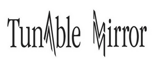 TUN BLE IRROR logo