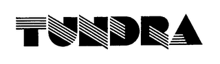 TUNDRA logo