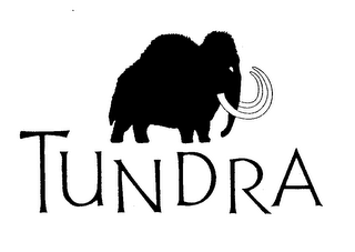 TUNDRA logo