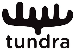 TUNDRA logo