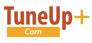 TUNEUP + CORN logo