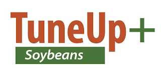 TUNEUP + SOYBEANS logo