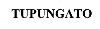 TUPUNGATO logo
