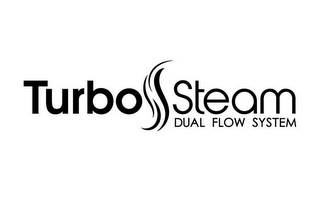 TURBO STEAM DUAL FLOW SYSTEM logo
