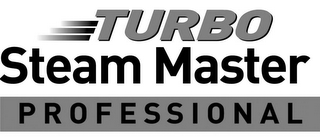 TURBO STEAM MASTER PROFESSIONAL logo