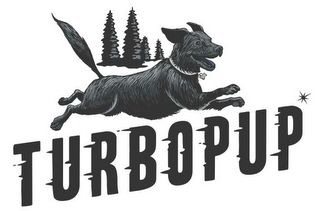 TURBOPUP logo