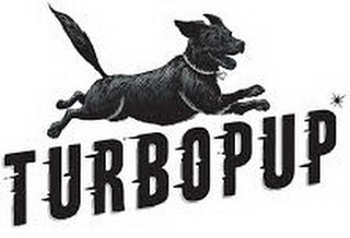 TURBOPUP logo
