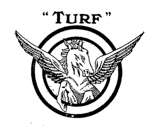 "TURF" logo