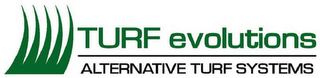 TURF EVOLUTIONS ALTERNATIVE TURF SYSTEMS logo