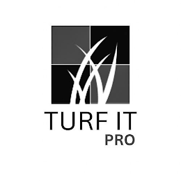TURF IT PRO logo