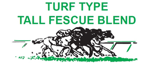 TURF TYPE TALL FESCUE BLEND logo