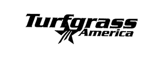 TURFGRASS AMERICA logo