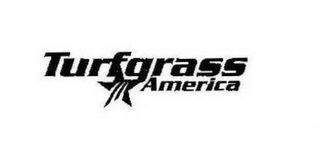 TURFGRASS AMERICA logo
