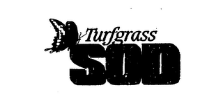 TURFGRASS SOD logo