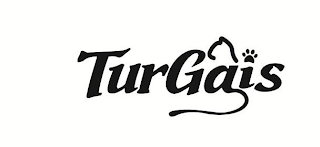 TURGAIS logo